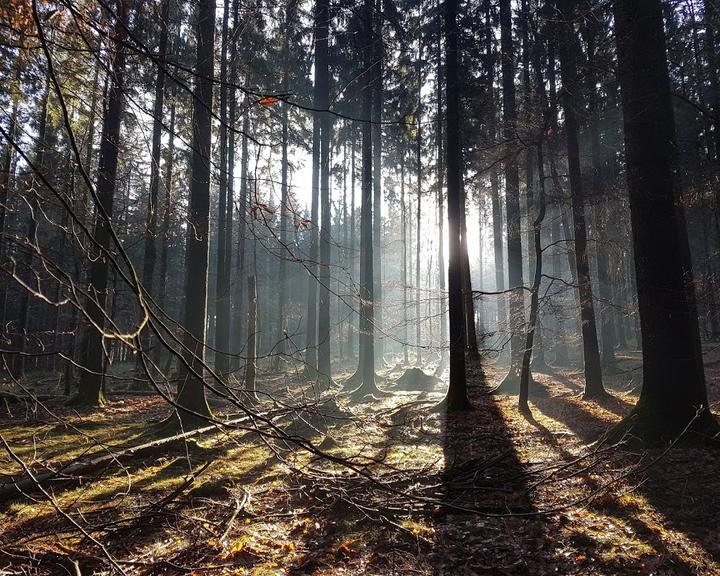 Naturfreundehaus billtal